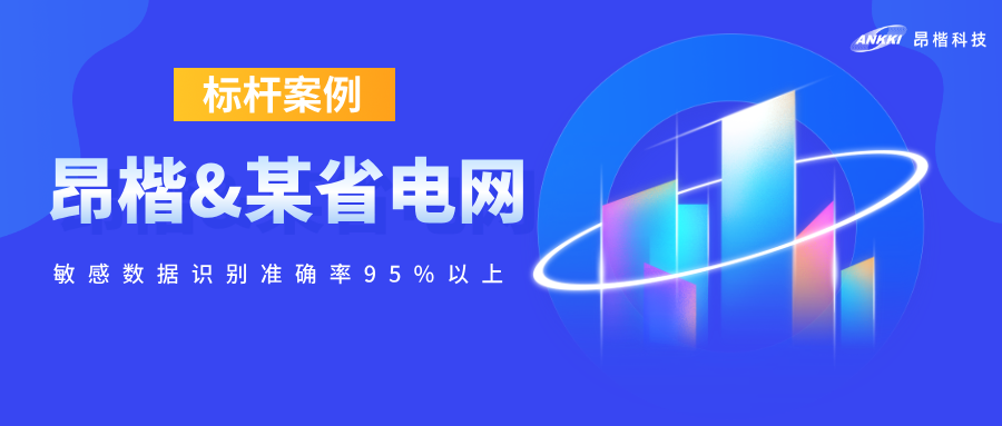 標桿案例  | 敏感數(shù)據(jù)識別準確率95%以上！昂楷攜某省電網(wǎng)破解電力數(shù)據(jù)開放的“既要又要”難題